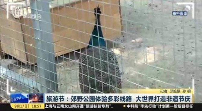 旅游节：郊野公园体验多彩线路 大世界打造非遗节庆