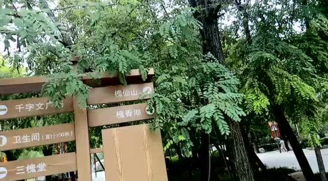 走进3A景点中华槐园，了解槐文化。