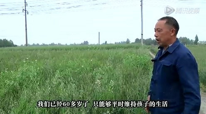 故事高鑫篇