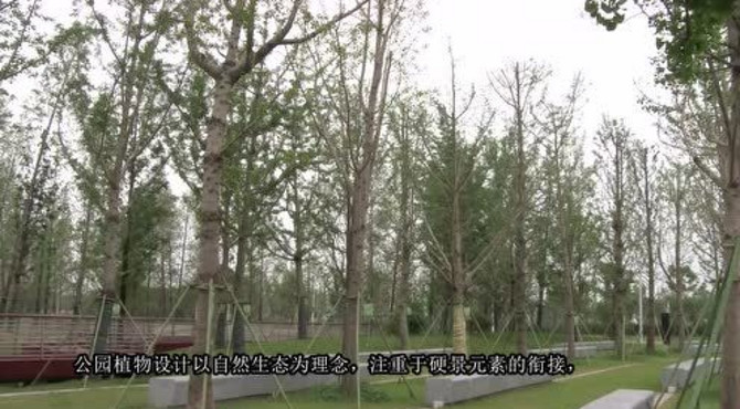 高邮文体公园