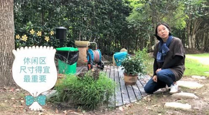 改建光与影的花园