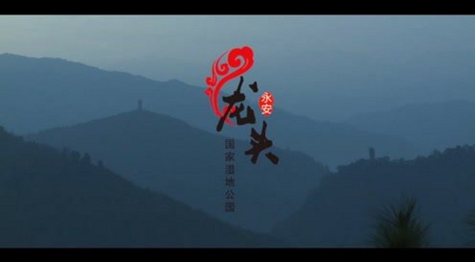 湿地公园2 (1)