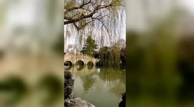 美丽的大宝应