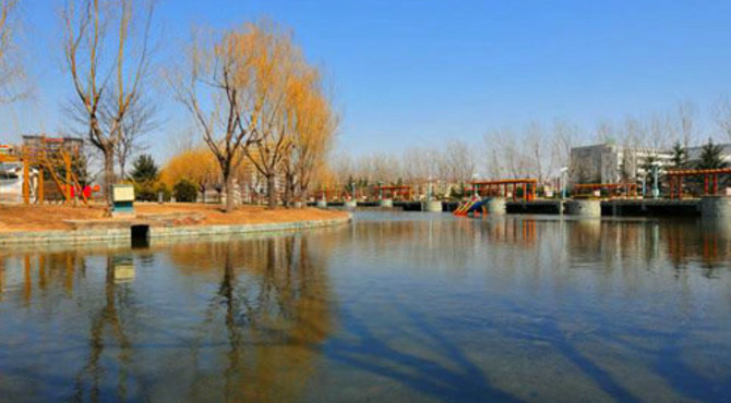 走进城市中的绿林净土，青岛城阳世纪公园，放飞自我享受生活