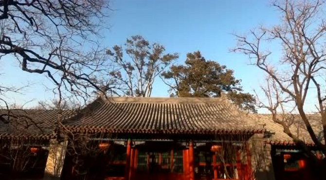 四季青非遗宣传片
