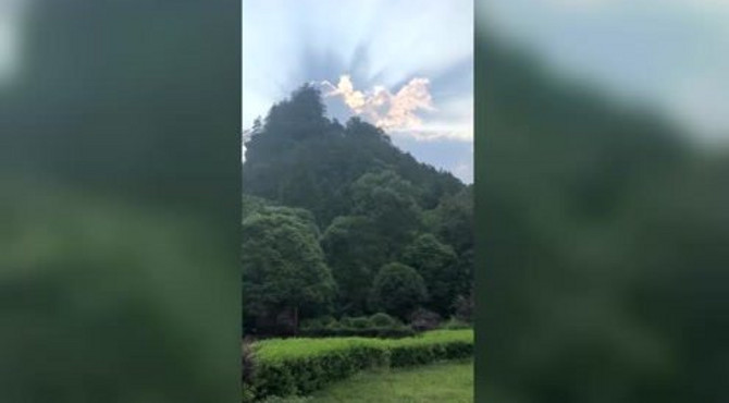 森林公园门口风景