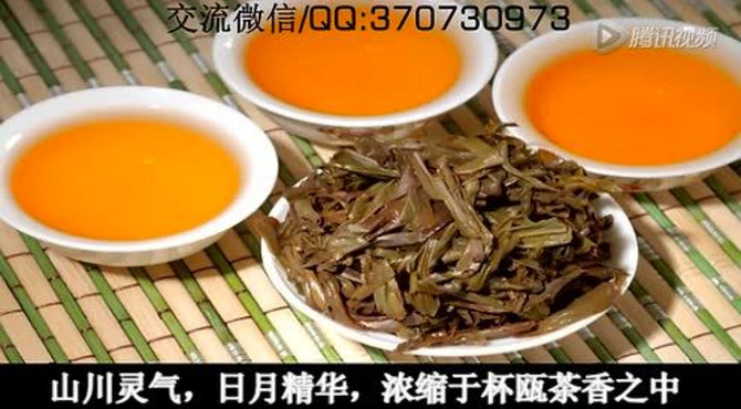 凤凰单丛茶 品种介绍鸭屎大乌叶凤凰镇高山茶