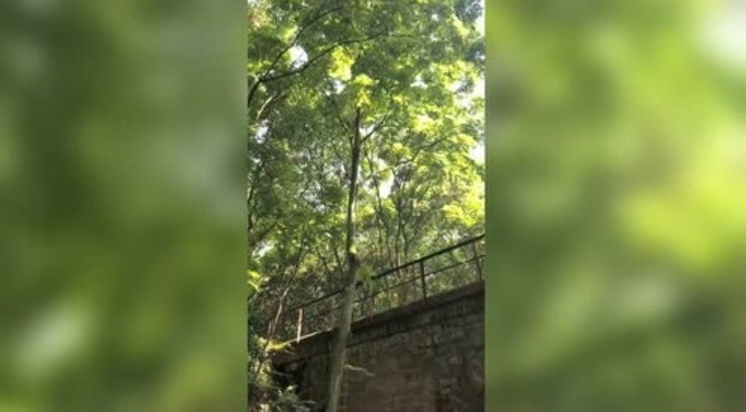 重庆红岩景区  渣滓洞监狱旧址