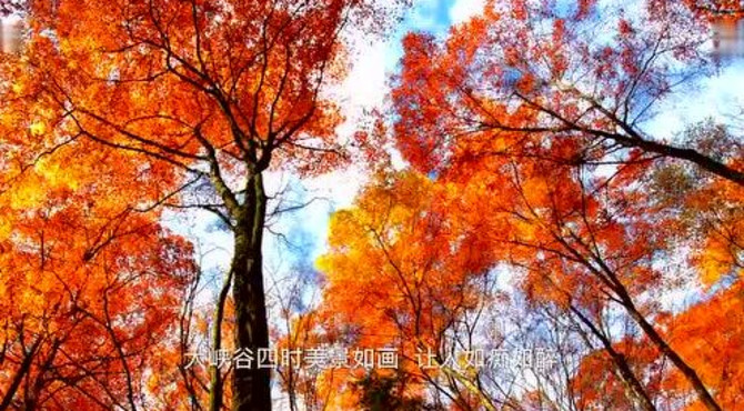 天下美景 世界奇观-米仓山大峡谷