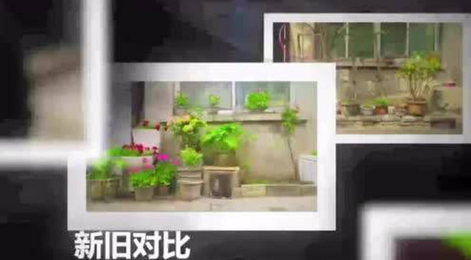 史家胡同 微花园