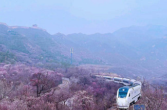 【北京一周一山·花海列车】踏青赏花丨开往春天的列车S2线+居庸关长城+花海栈道+民国青龙桥车站