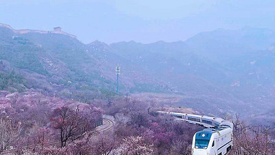 【北京一周一山·花海列车】踏青赏花丨开往春天的列车S2线+居庸关长城+花海栈道+民国青龙桥车站