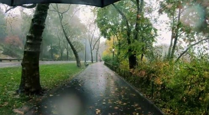 自然风景：纽约曼哈顿中央公园，暴雨中行走