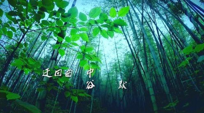 “湖湘宝地 美丽浏阳”——探访原乡秘境之张坊