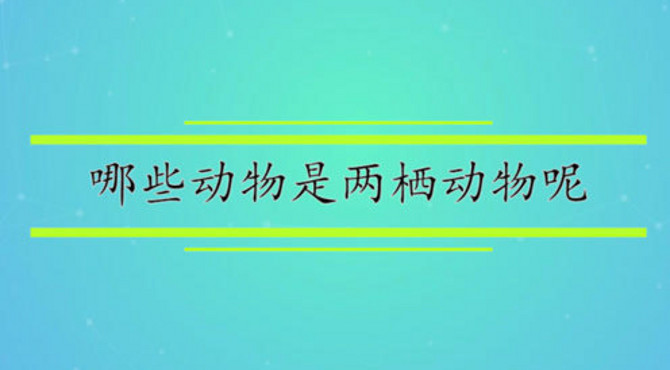 哪些动物是两栖动物呢