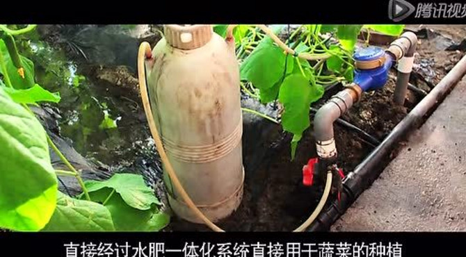 芦西园官方宣传片