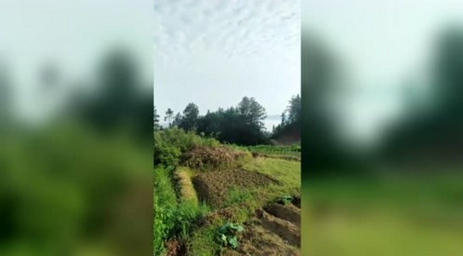乡村的美景，不比任何景区差，有山有水，景色迷人！
