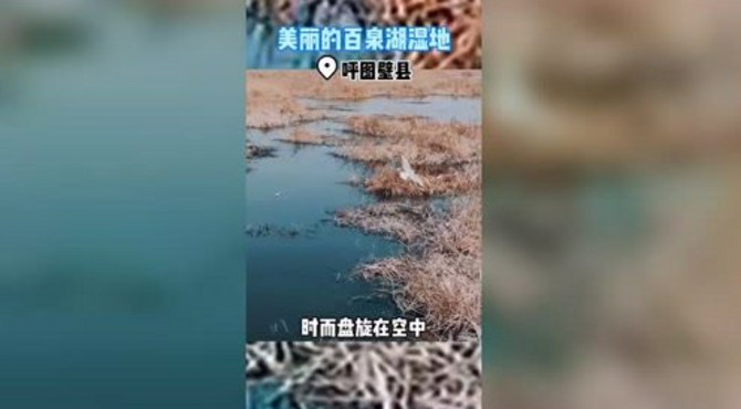 美丽的百泉湖湿地