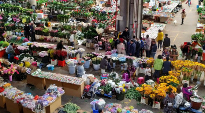 斗南花市 亚洲最大的鲜切花交易市场