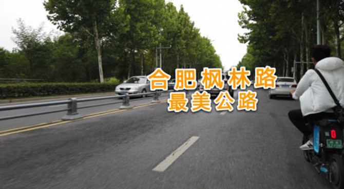 合肥有条枫林路，被合肥人称为最美公路，你觉得美吗？