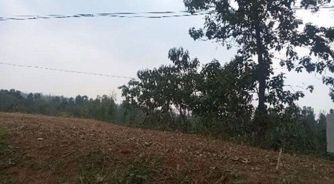 二金游天下，月台瓷窑遗址