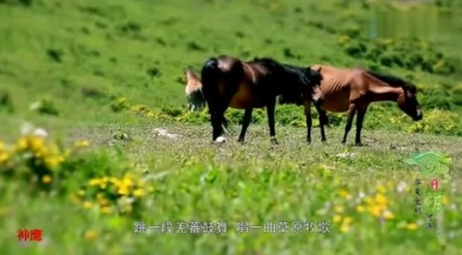 丹霞画廊天井峡，战国秦长城遗址，风情雪源石门雪山