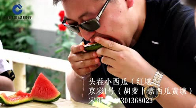 大兴区庞各庄老宋瓜王