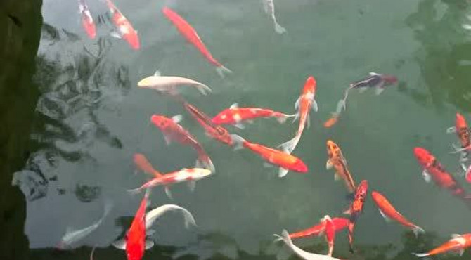 漫游北京三里河