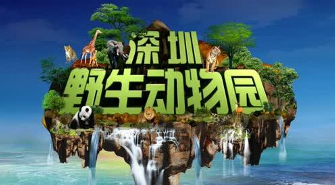 2017-01-31深圳野生动物园一日游