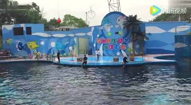 视频: 深圳野生动物园海洋馆