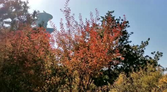 北京跑步圣地—奥森公园秋天美景，最棒的奥运遗产