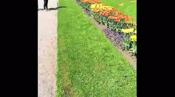 圣彼得堡-彼得夏宫花园之二