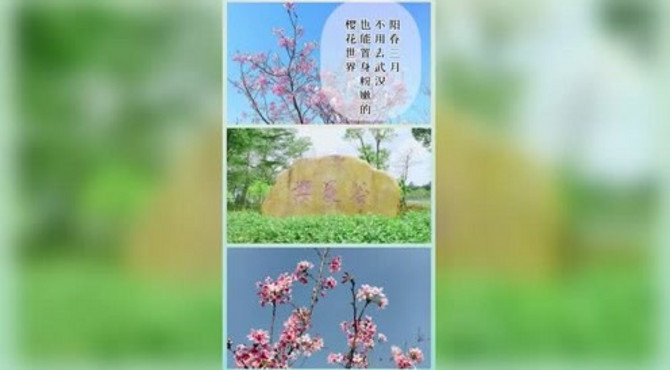 全國之*的公園，深圳聚龍山生態濕地公園游玩攻略