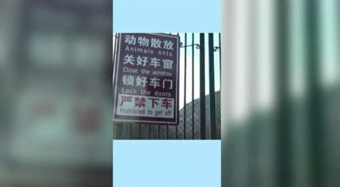 当去过北京八达岭野生动物世界，才发现其他动物园都是将就！