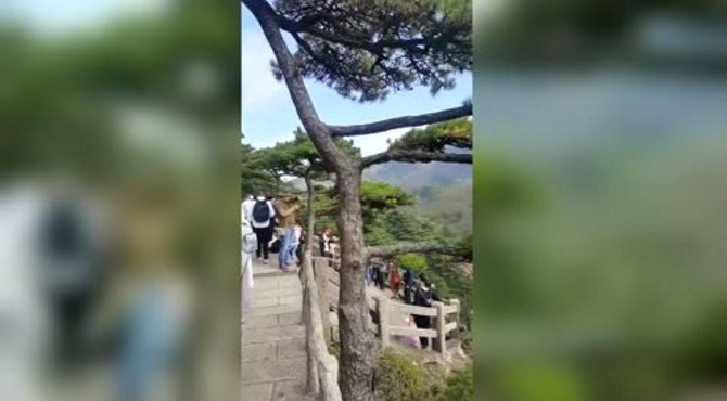 安徽黄山迎客松。风景美！