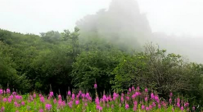 野三坡白草畔风光视频