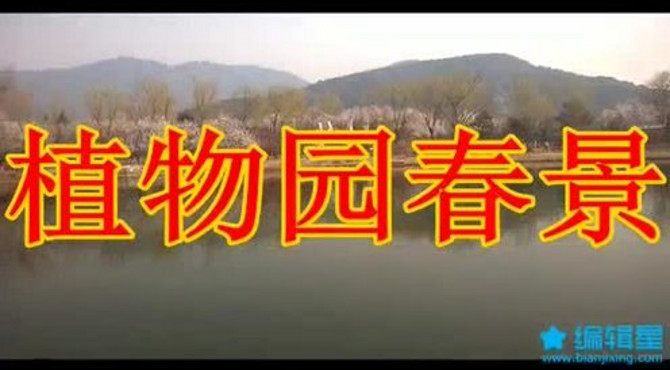 北京植物园春景
