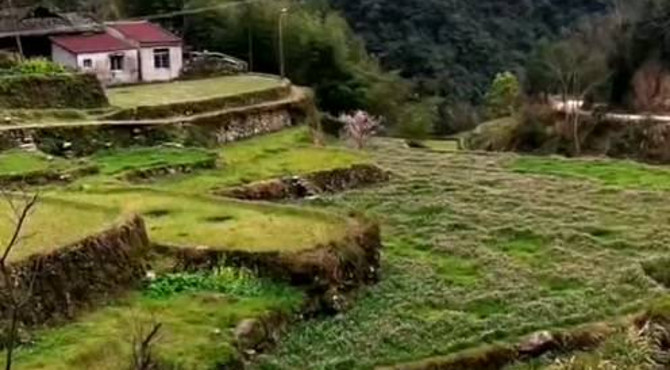 屋前梯田翠层层，山峦起伏迭葱茏百鸟枝头歌悦耳，遥闻小院鸡鸣声！