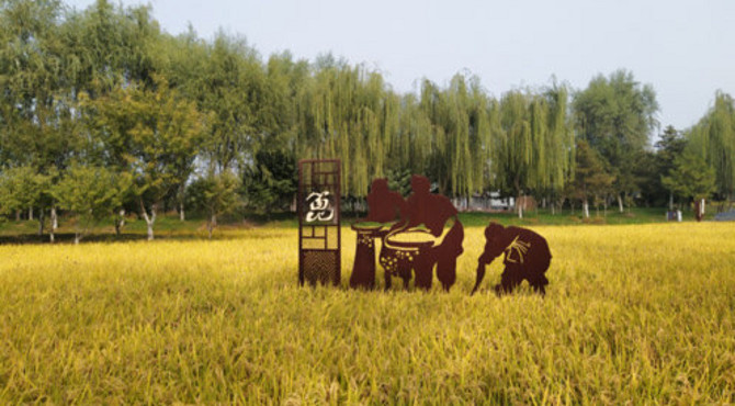北京五环内唯一一处，梯田式免费郊野公园，满园金色惹人醉