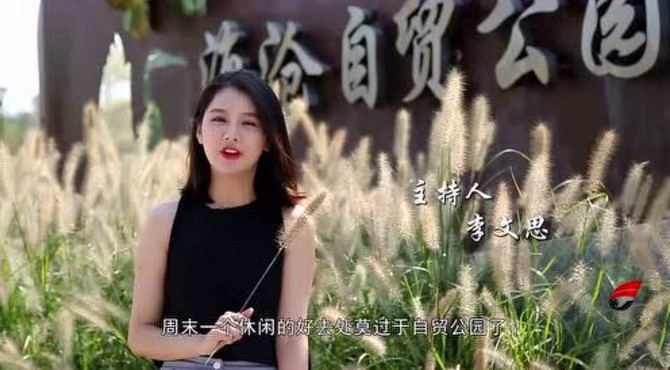 多景如胜，美丽海沧