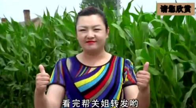 请欣赏《东北关姐》