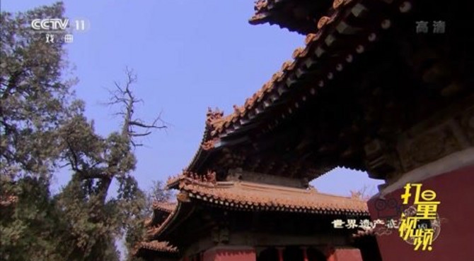 大美中国：曲阜孔庙孔林孔府，孔庙十三碑亭|央视网