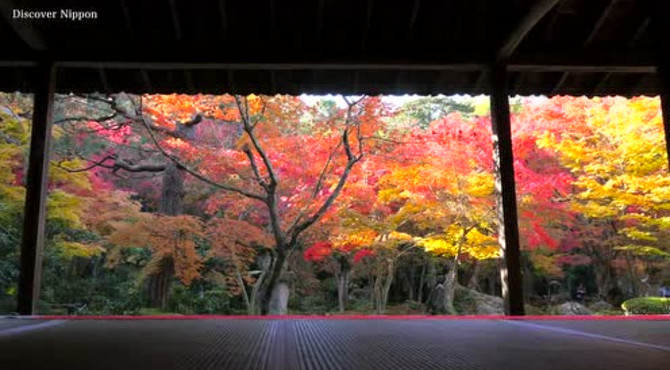 京都観光　清水寺、東福寺、永観堂、高台寺、圓光寺