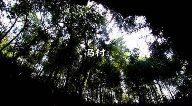 大岭冯村宣传片