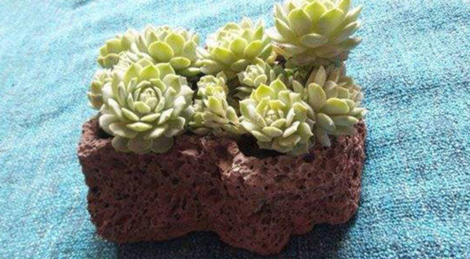 会“呼吸”的花器——浮翠连绵