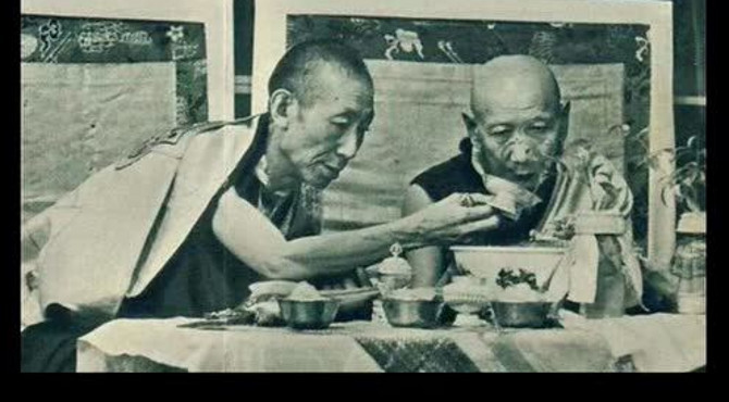 雄登护法酬供