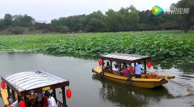 圆明园千亩荷花湖