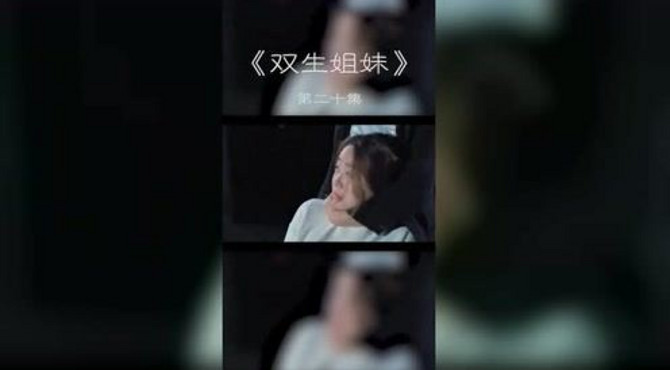 双生姐妹第二十集