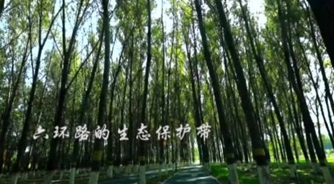 通州东郊湿地公园，绿地面积9万亩！京东最大的城市森林！