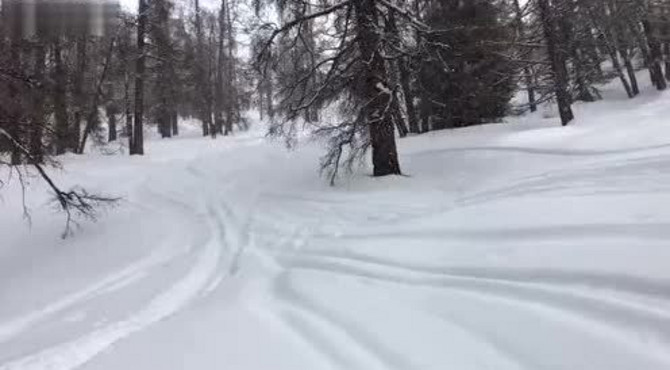 阿尔泰山野雪公园